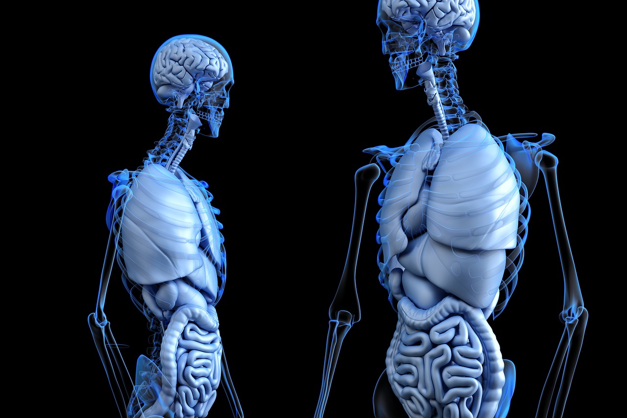 La maladie de Crohn