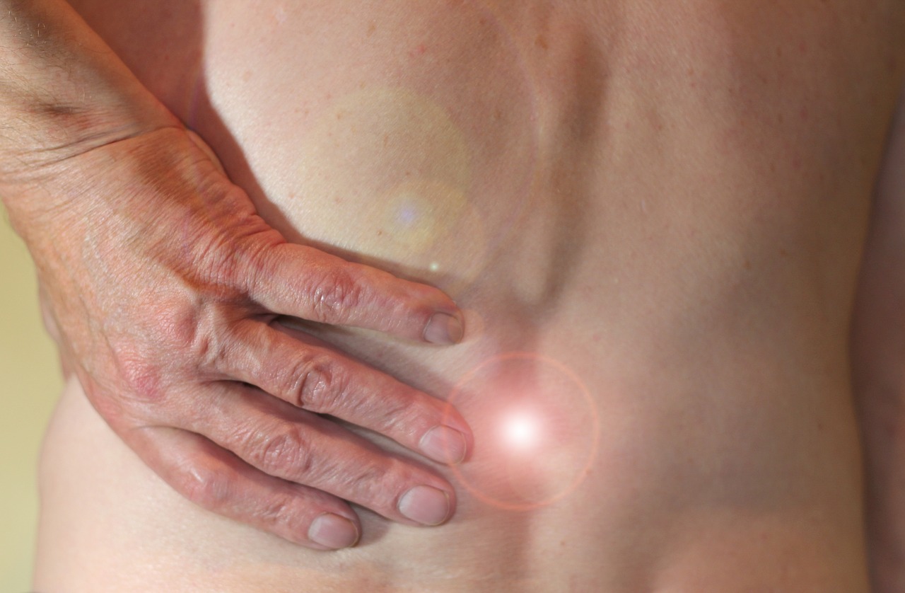 La spondylodiscite
